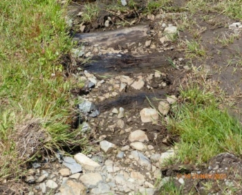 1870's Wooden Road Discovered