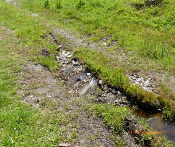 <1870's Wooden Road Discovered>